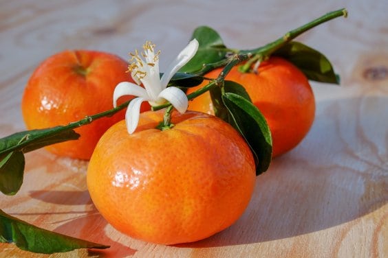 tangerine investment funds