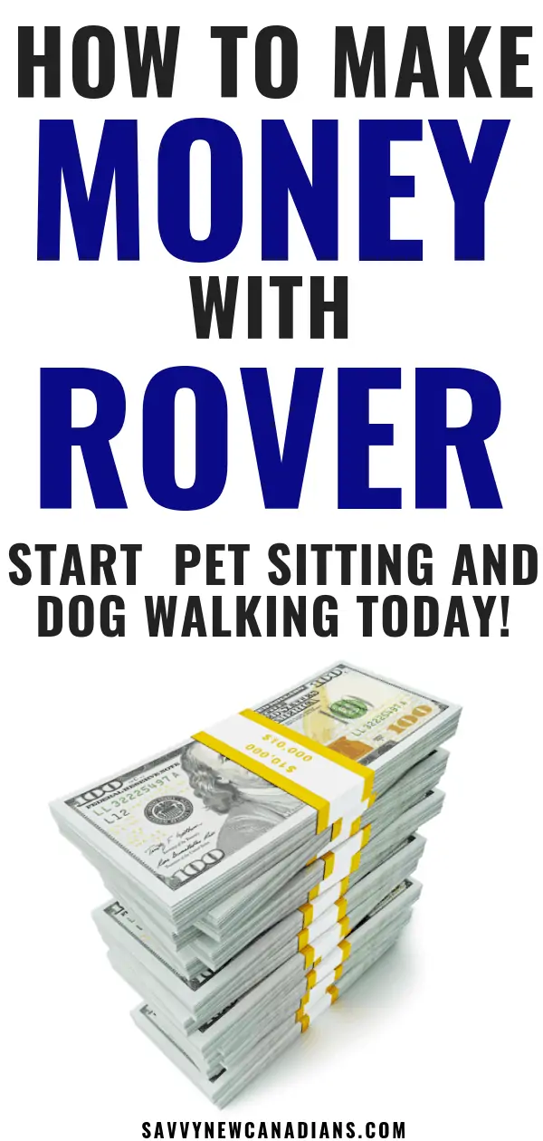 make money pet sitting and dog walking with rover