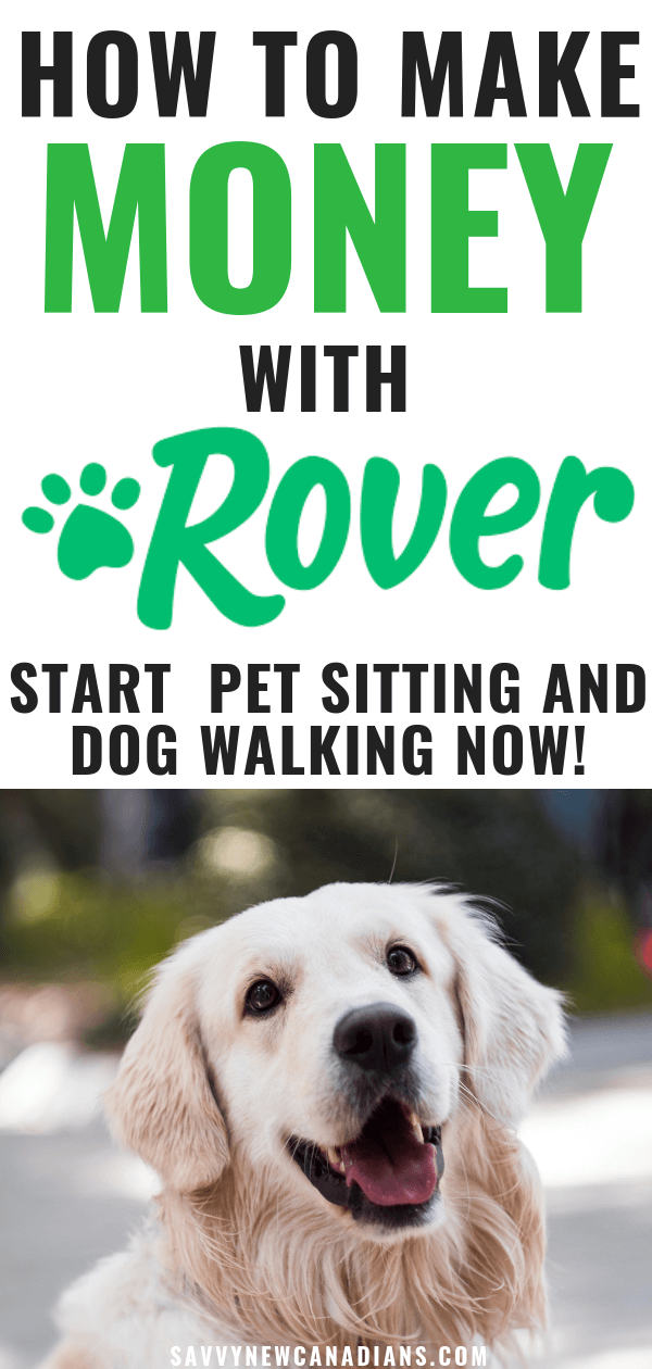 Rover.com Review: Make Money Walking Dogs and Pet Sitting