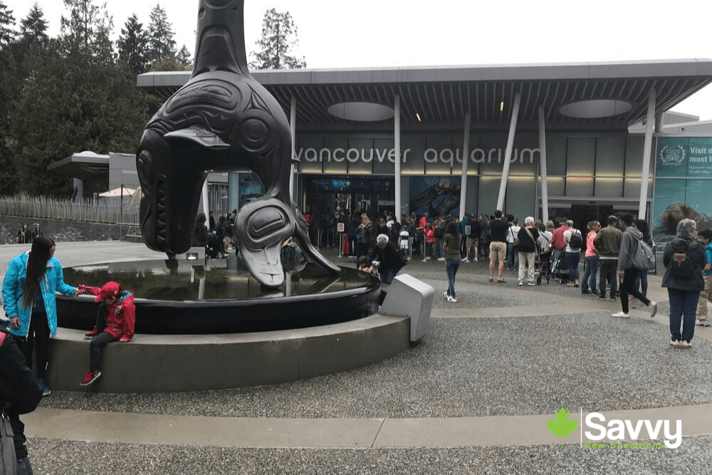 Vancouver Aquarium BC