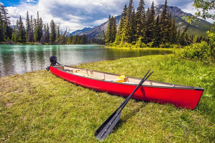 What is Alberta’s Minimum Wage in 2024? Savvy New Canadians