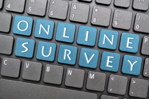 surveylion