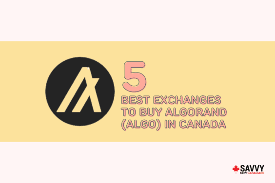 5 Best Exchanges To Buy Algorand (ALGO) in Canada