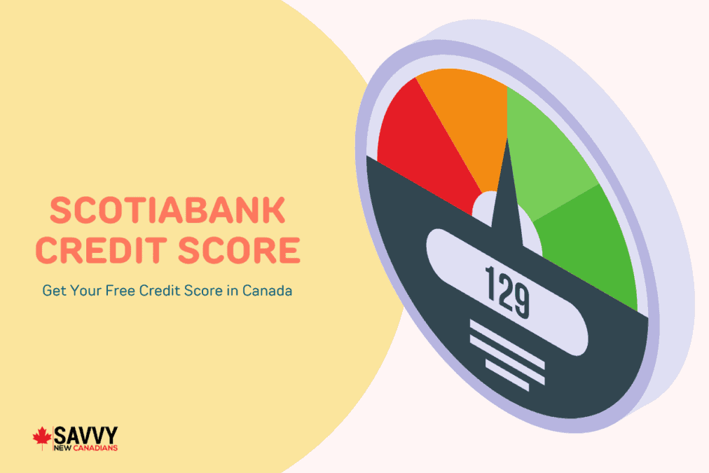 Scotiabank Credit Score