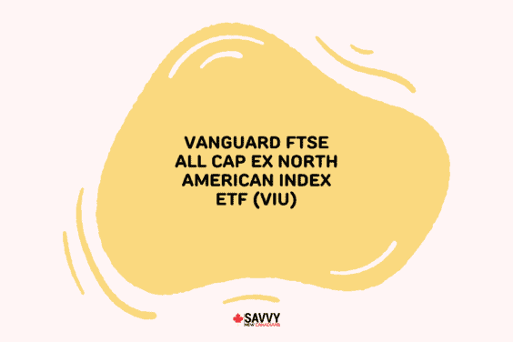 Vanguard FTSE All Cap ex North American Index ETF (VIU)