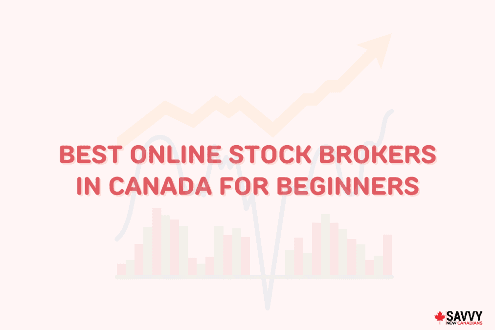 Best Online Stock Brokers in Canada For Beginners