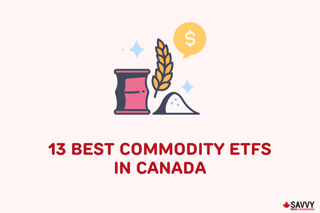The 13 Best Commodity ETFs in Canada for Aug 2022