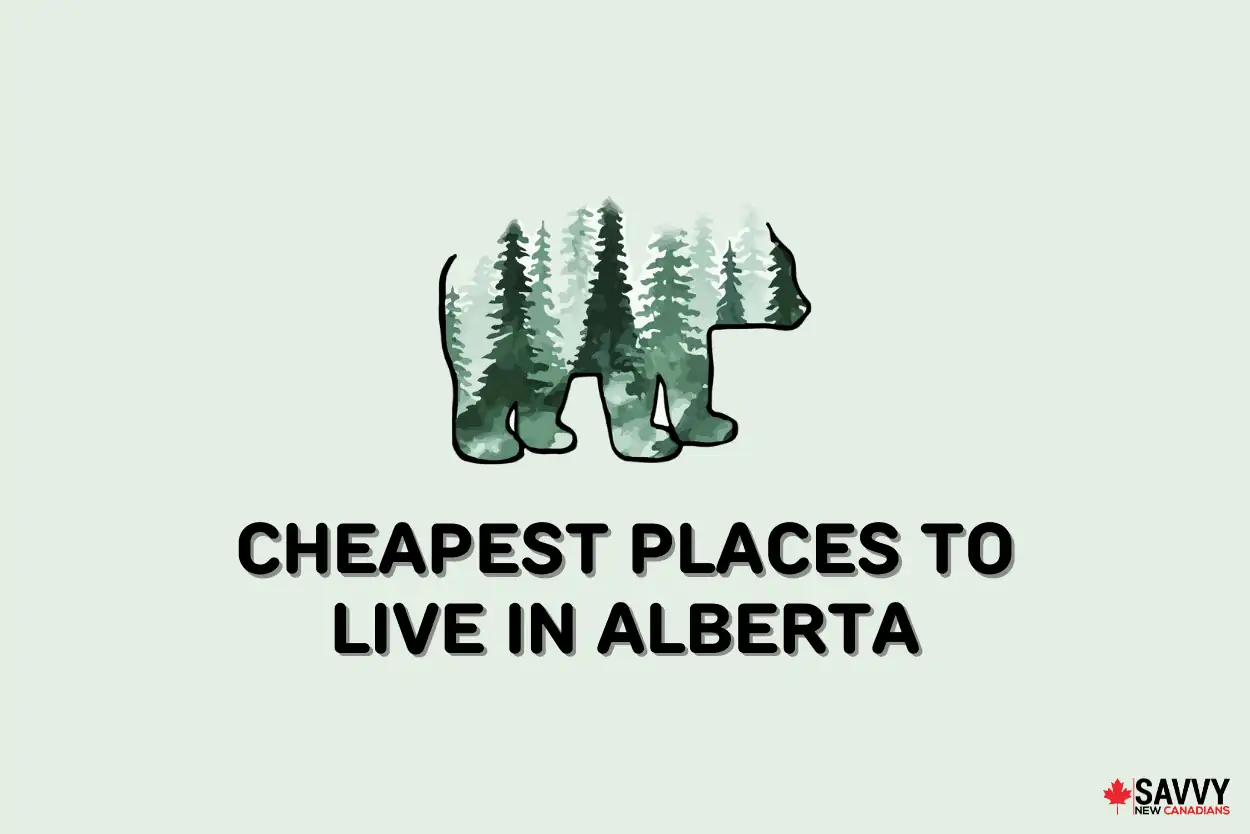 Text that reads “Cheapest places to live in Alberta” below a bear with green trees