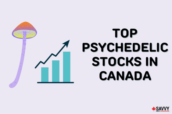 A cartoon mushroom and stock graph beside text that reads"Top Psychedelic Stocks in Canada"