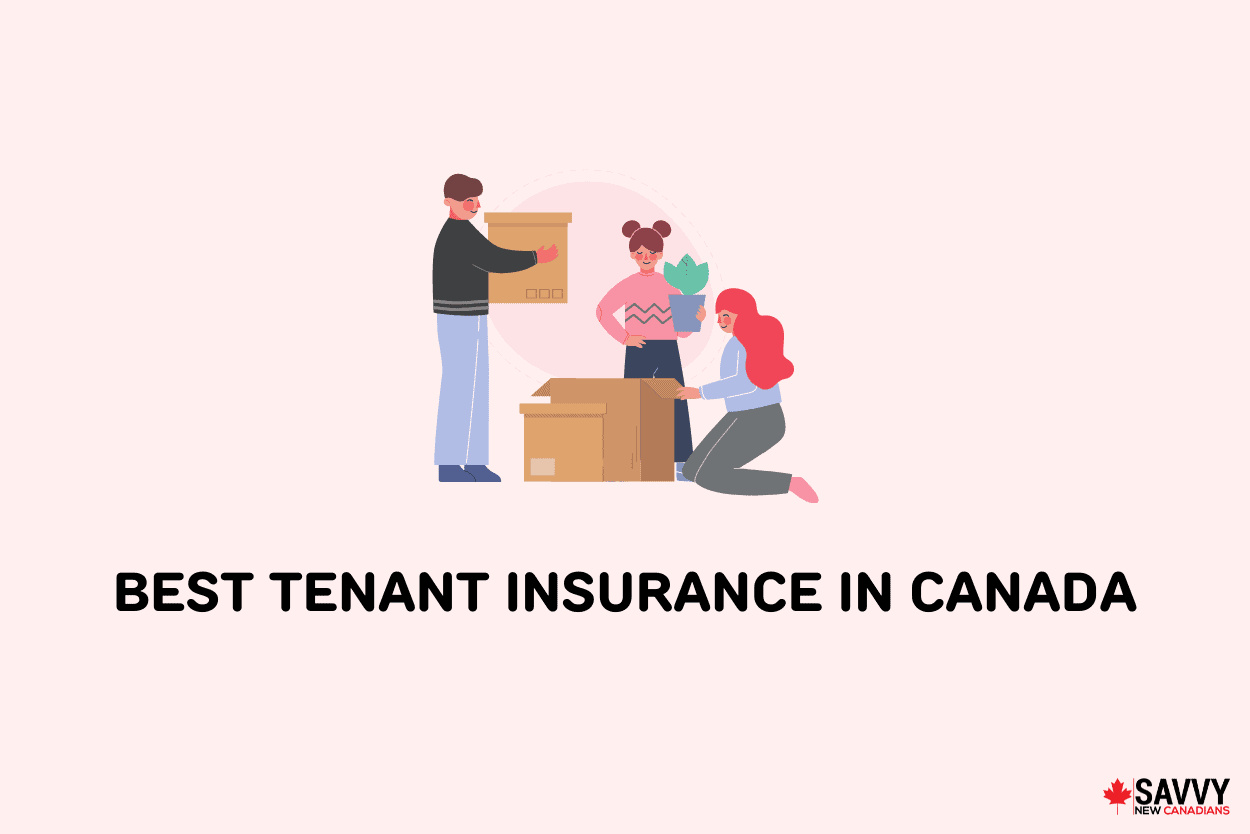 Best Tenant Insurance in Canada 2022: How it Works and Top Providers