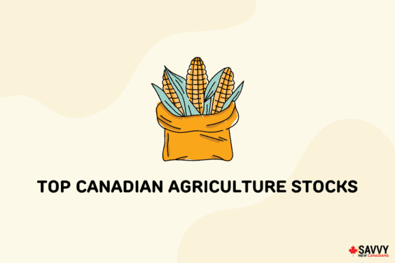 Text that reads “Top Canadian agriculture stocks” under an image of a bag of corn