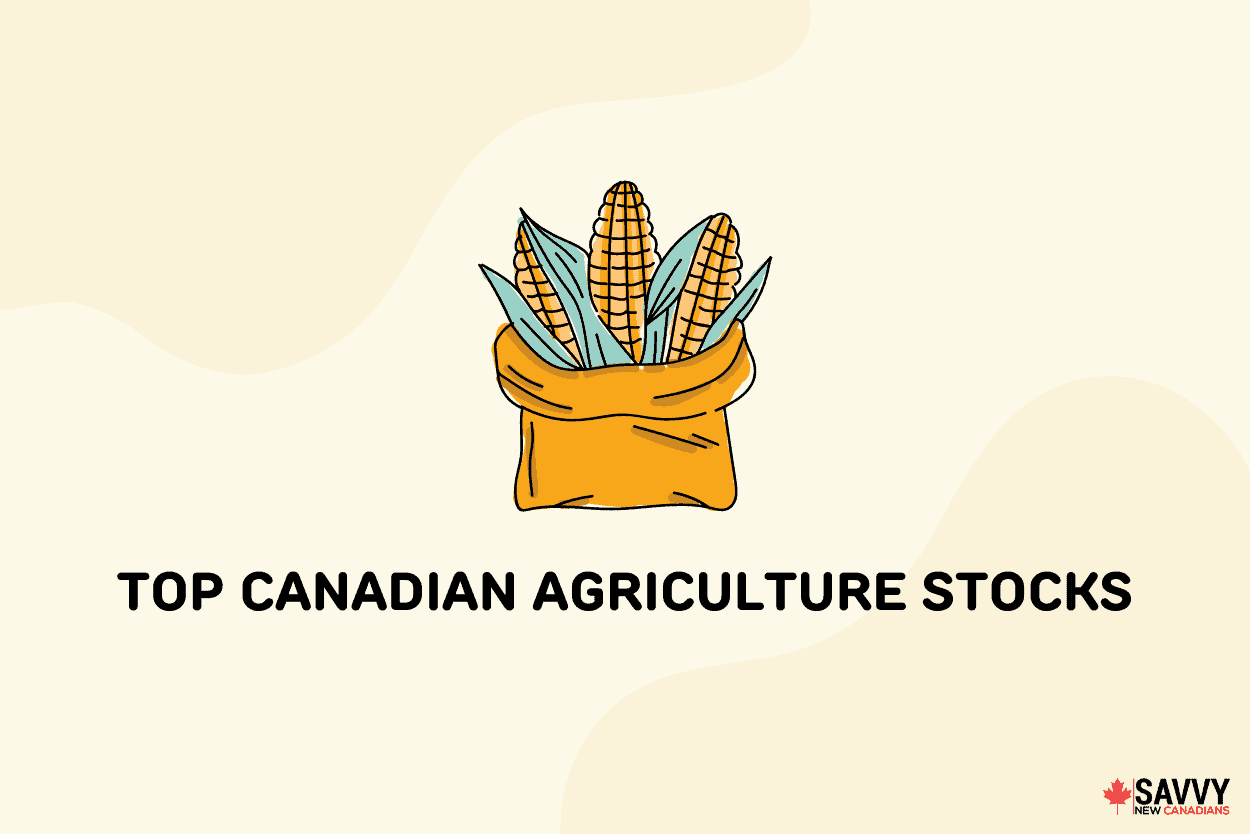 Top Canadian Agriculture Stocks To Consider in Oct 2022: Invest In the Farming Sector