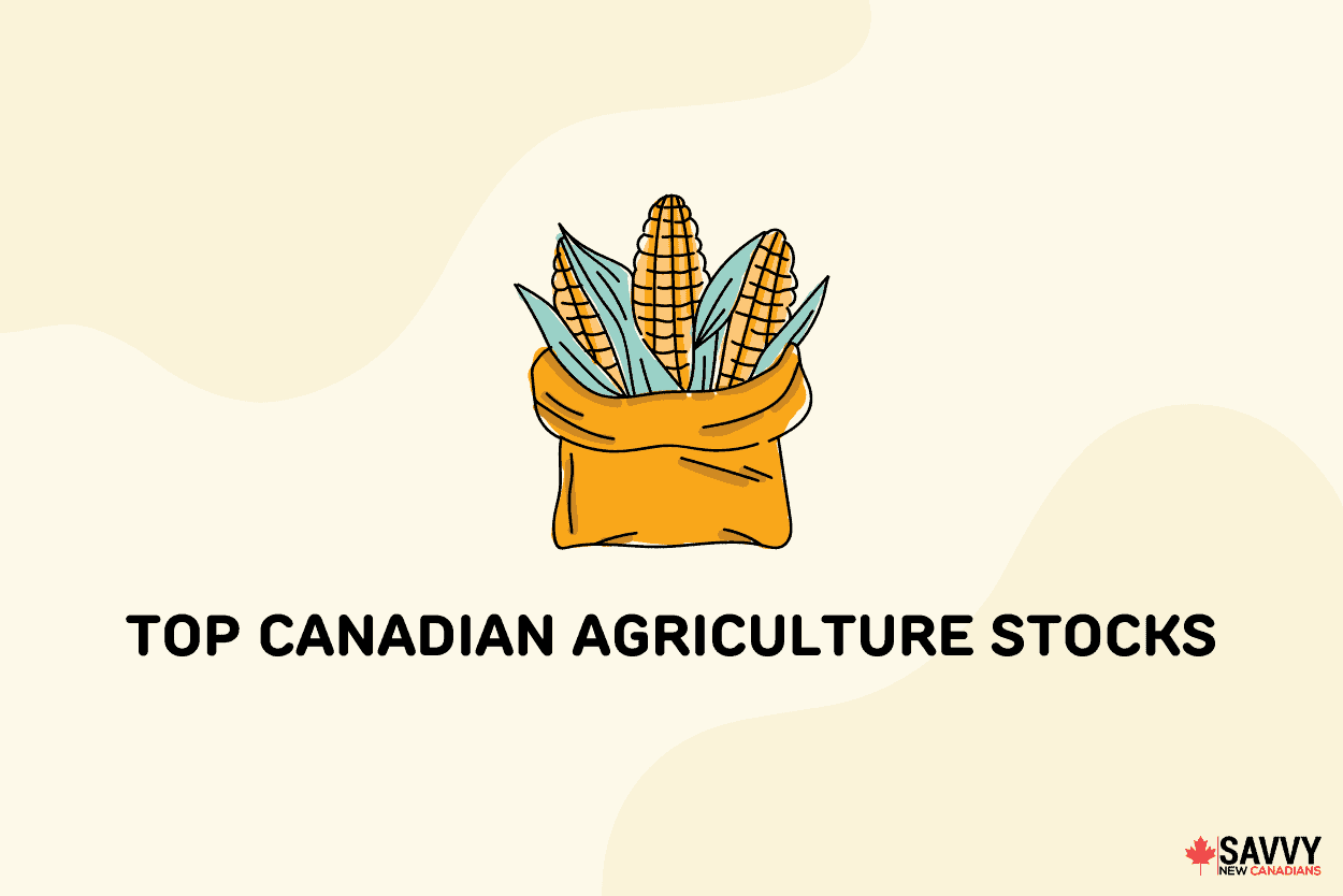 Top Canadian Agriculture Stocks To Consider in Jun 2024 Invest In the