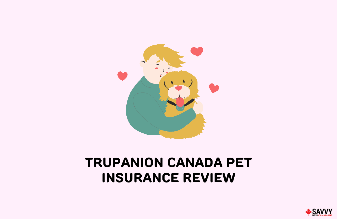 image showing man caring for his pet and considering trupanion pet insurance