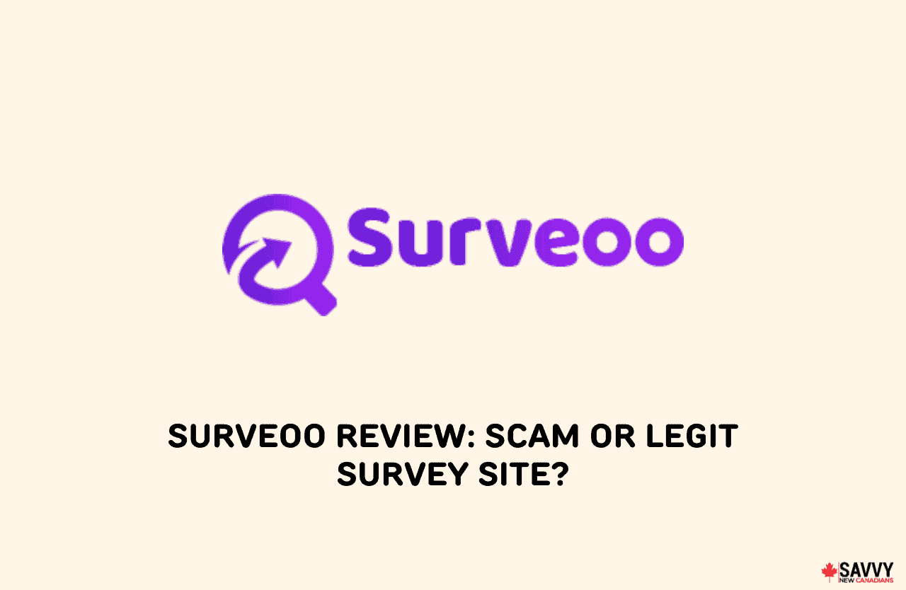 image showing surveoo logo