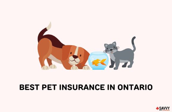 best pet insurance canada-img