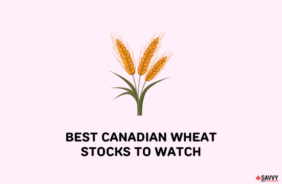 image showing an icon of wheat stocks in canada
