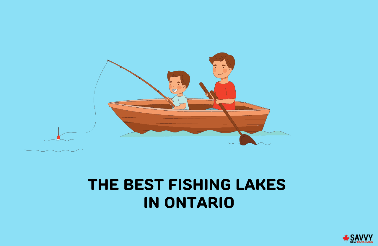 image showing an illustration of people fishing from lakes in ontario