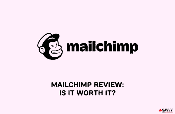 image showing mailchimp logo
