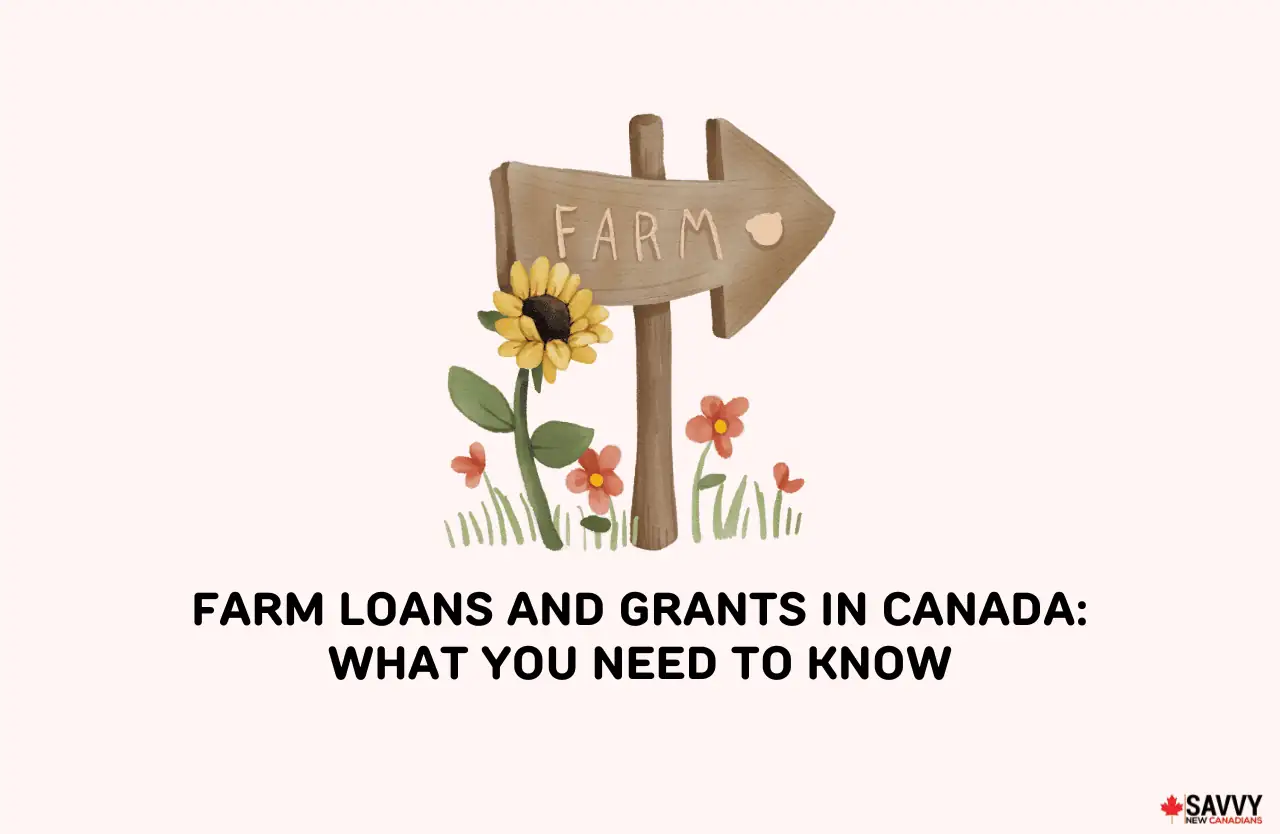 farm loans and grants-img