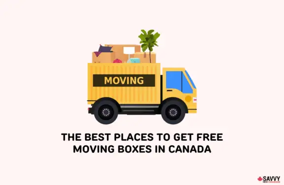 Best Places to Get Free Moving Boxes in Canada-img