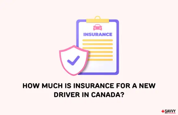 car insurance cost new drivers-img
