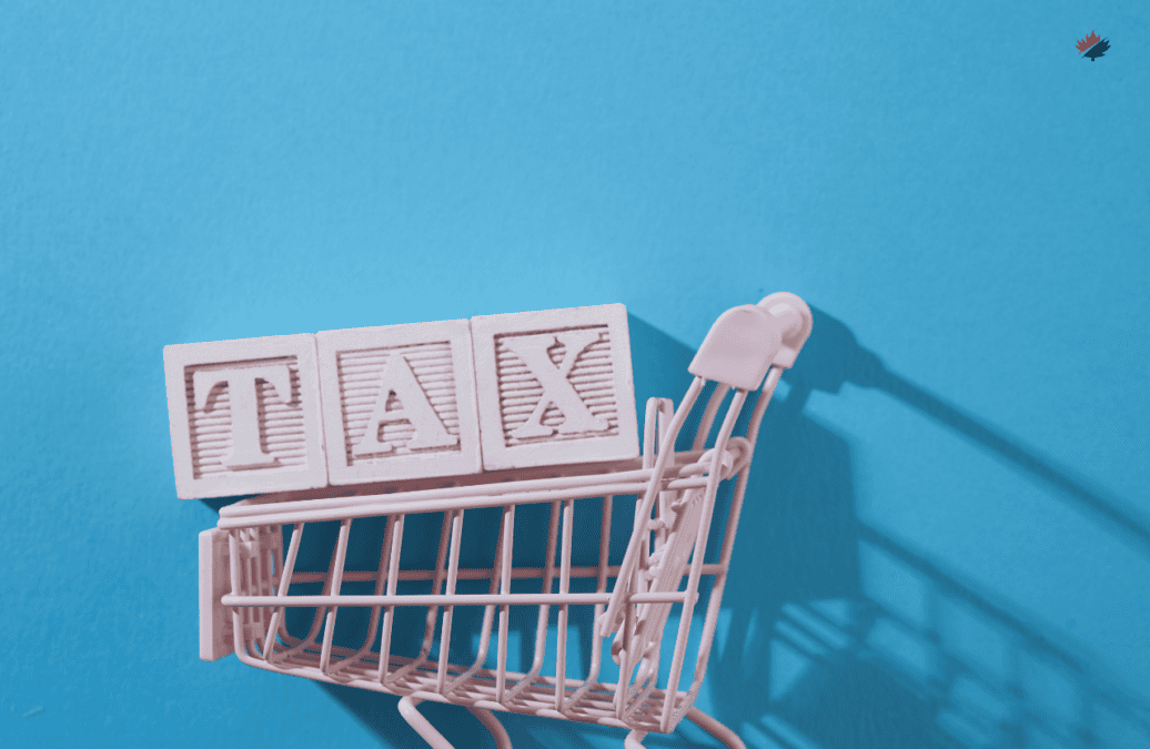 GST Credit Payments Have Increased Up to $519 in 2024 1 GST Credit Payments Have Increased Up to $519 in 2024